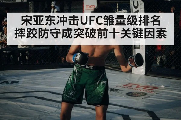 宋亚东冲击UFC雏量级排名 摔跤防守成突破前十关键因素 - BBIN